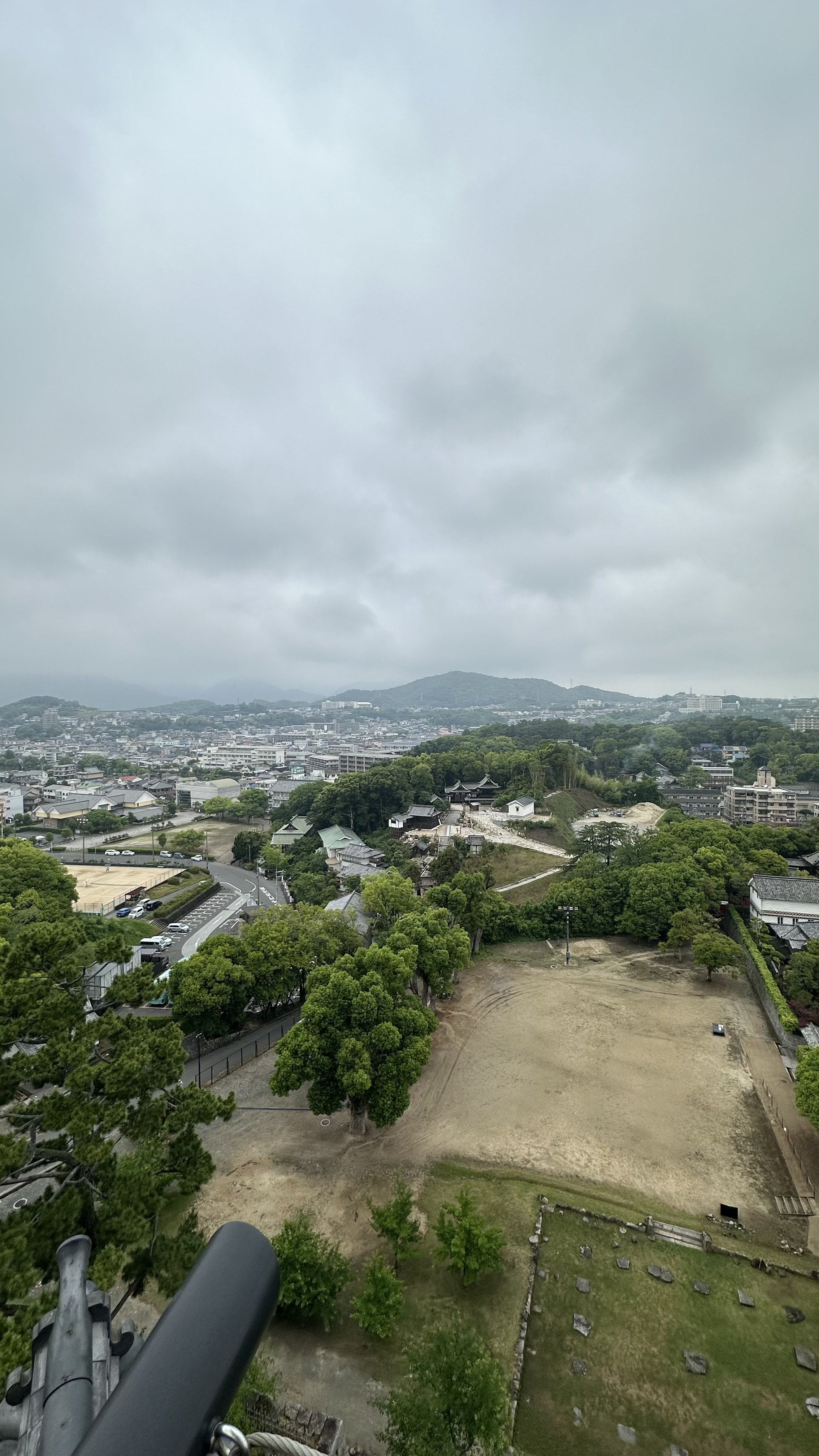 新規テスト